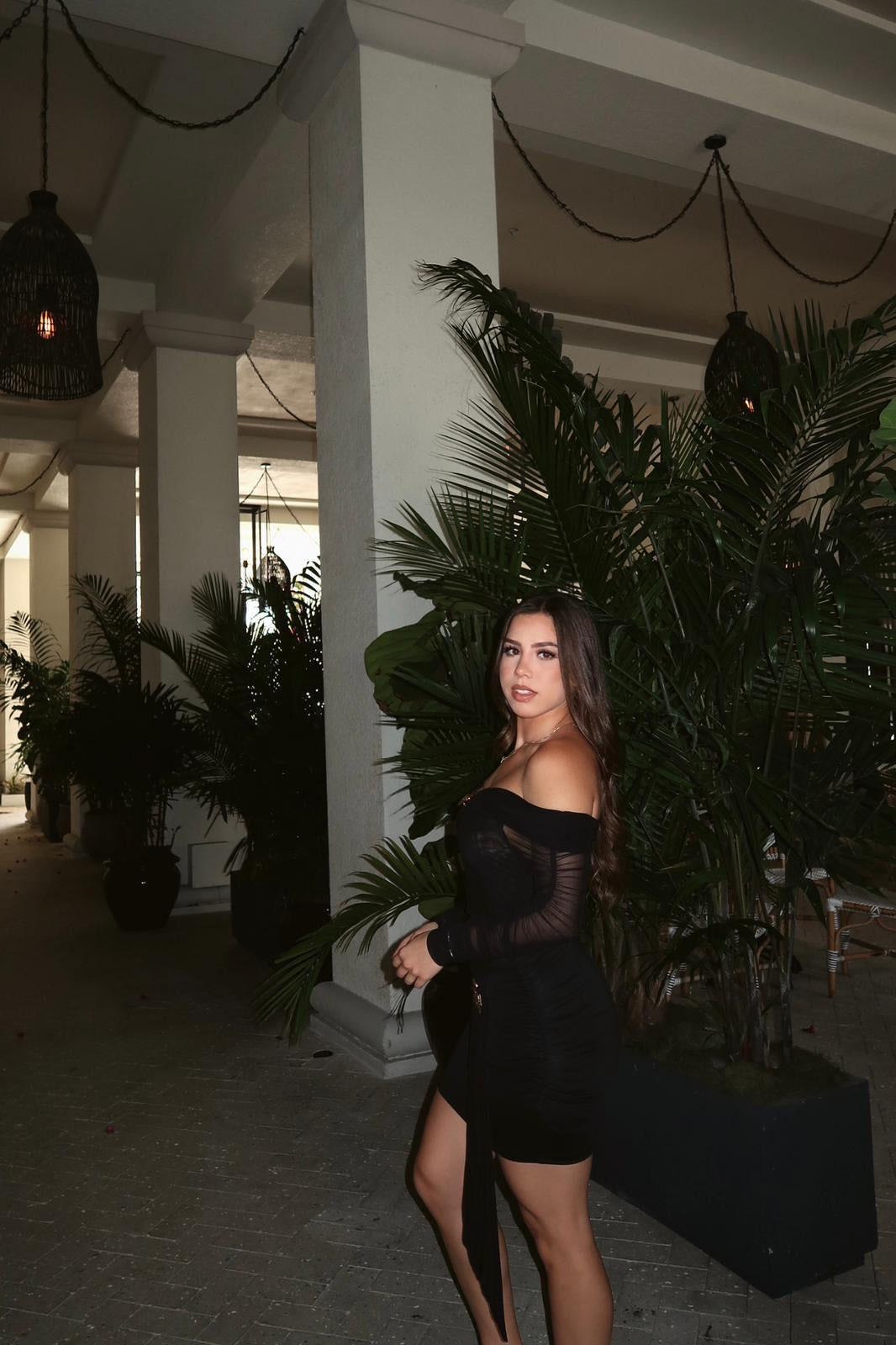 SHEER PERFECTION DRESS